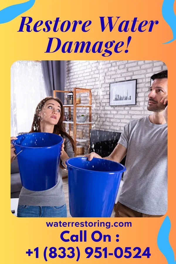 water restoration Universal Drying Brothers Meridian Hills