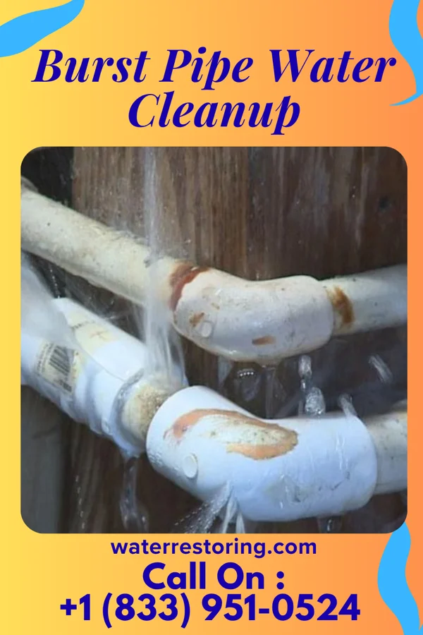 Burst Pipe Water Cleanup in Meridian Hills, IN